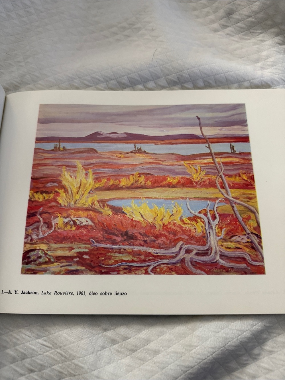 Rare! Vintage 1984 Canadian Art Exhibition Catalogue: "El Paisaje de Canada" - Picture 6 of 6